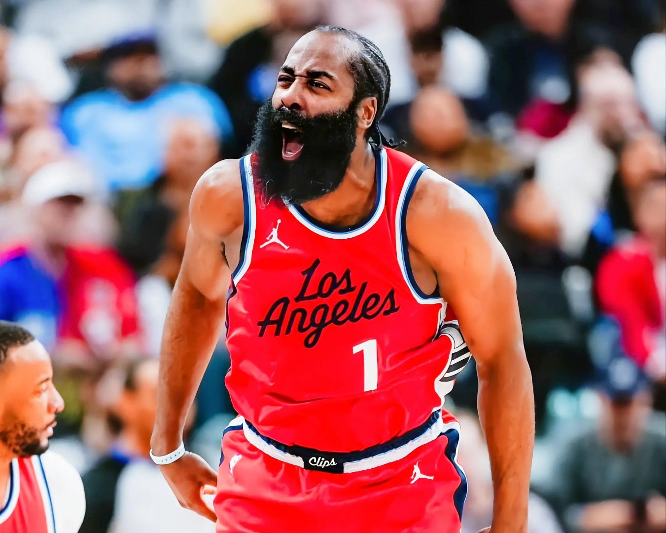 新奥尔良鹈鹕队